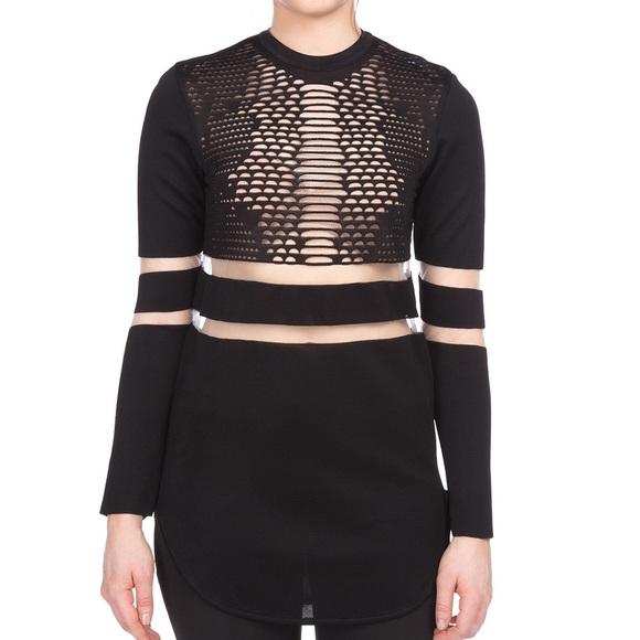 Alexander a Wang x H&M Black Sheer Blouse - Picture 1 of 8
